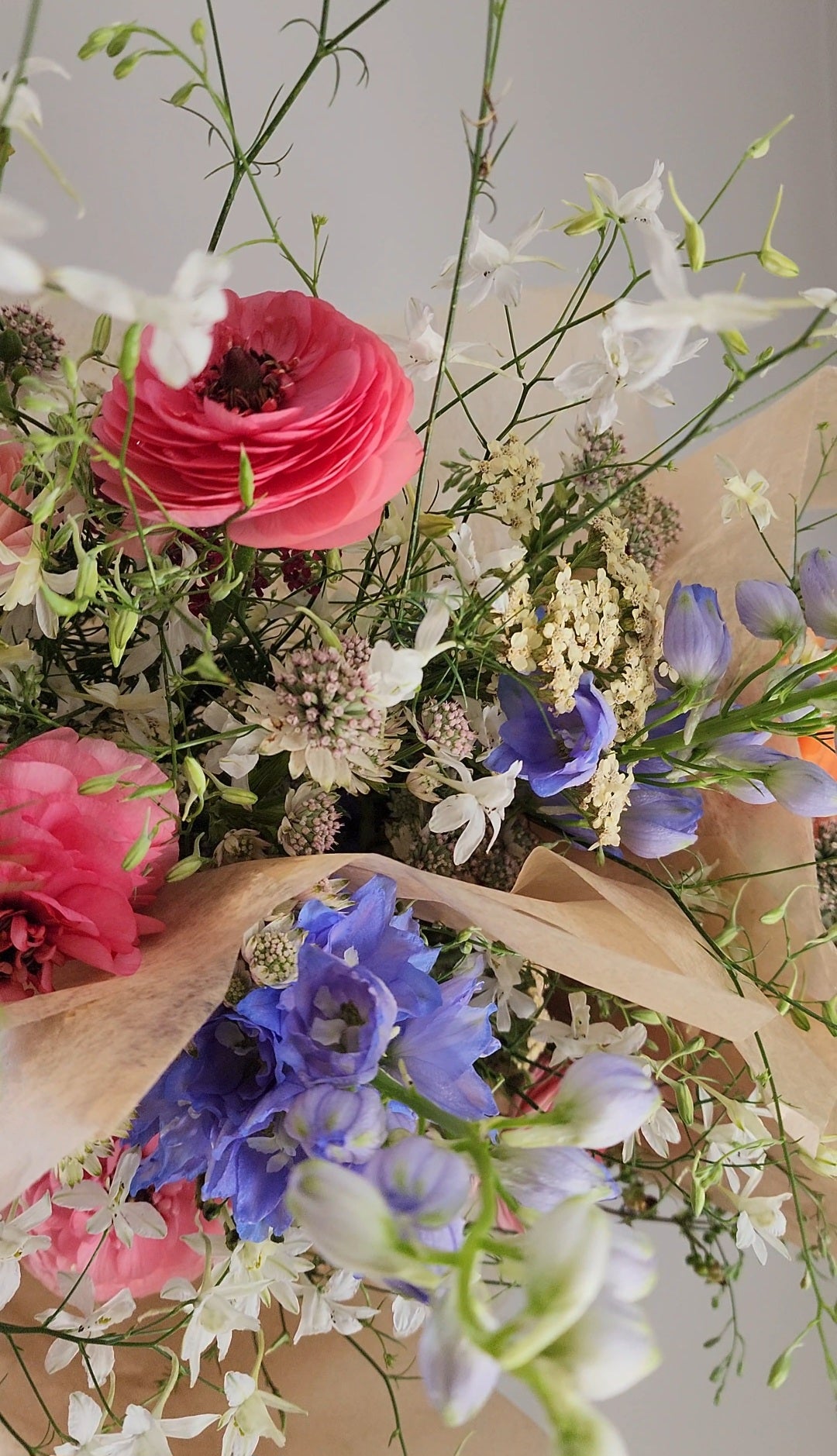 Pop Up Bunch