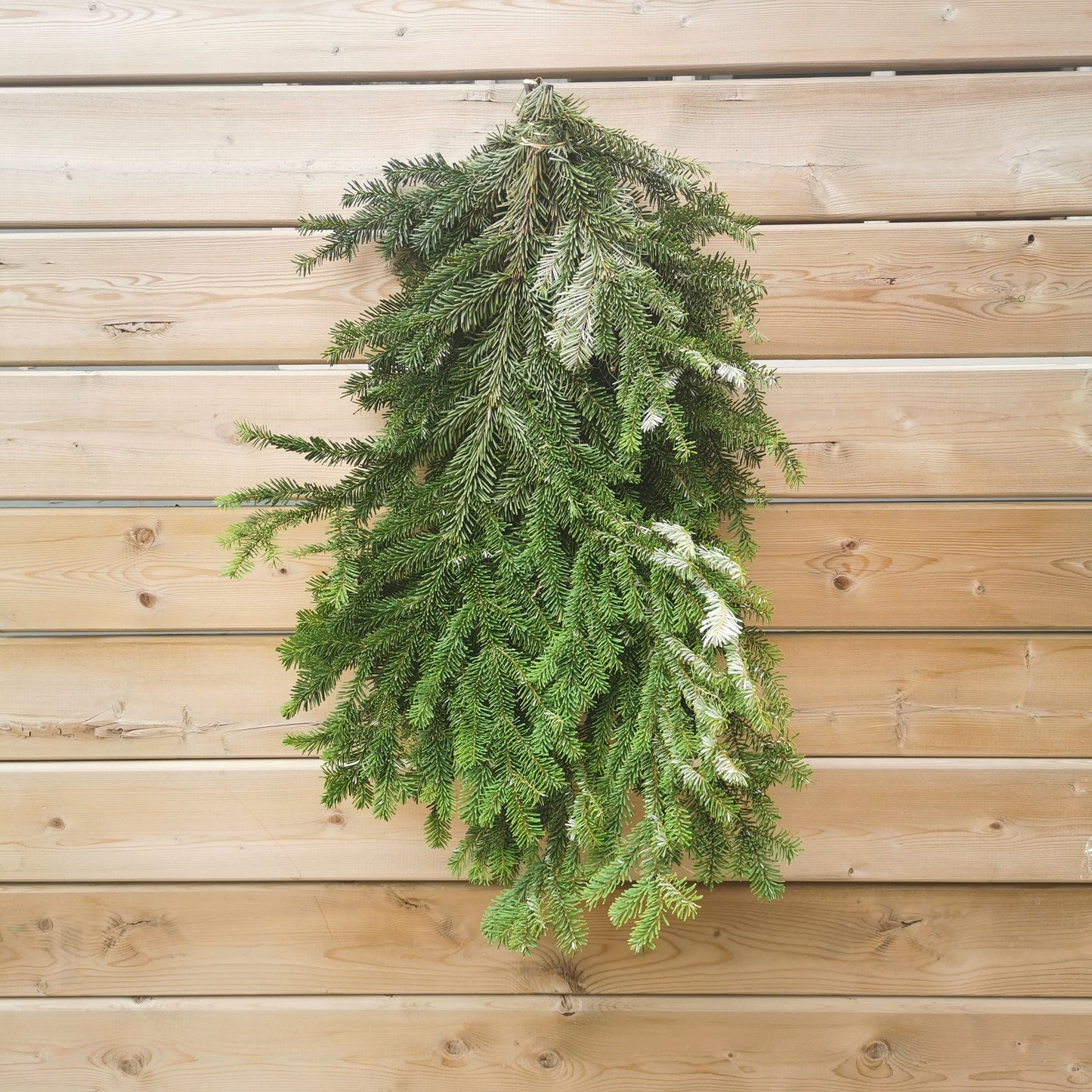 BC Winter Greens