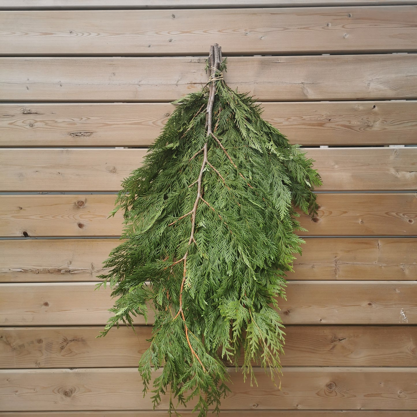 BC Winter Greens