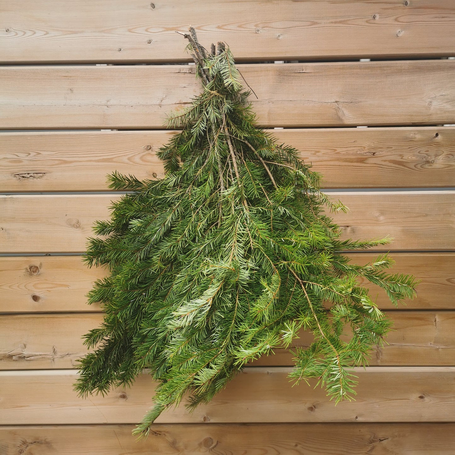 BC Winter Greens